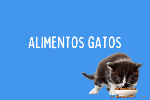 Alimento Gato